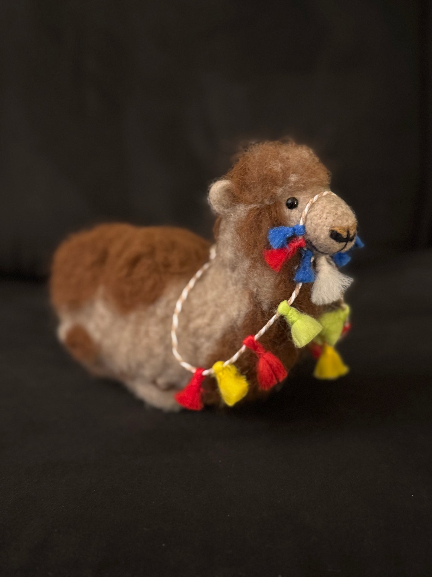 Hank, the Bactrian (Camel)
