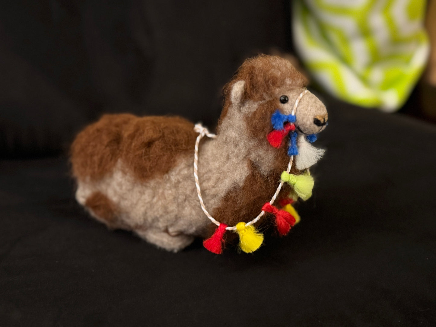 Hank, the Bactrian (Camel)