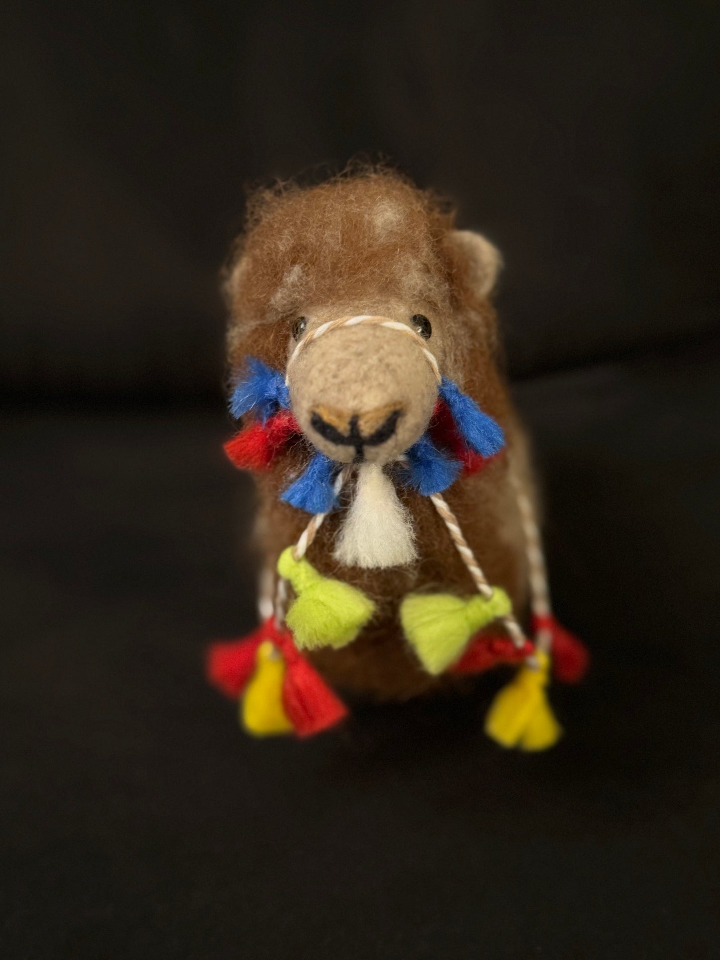 Hank, the Bactrian (Camel)