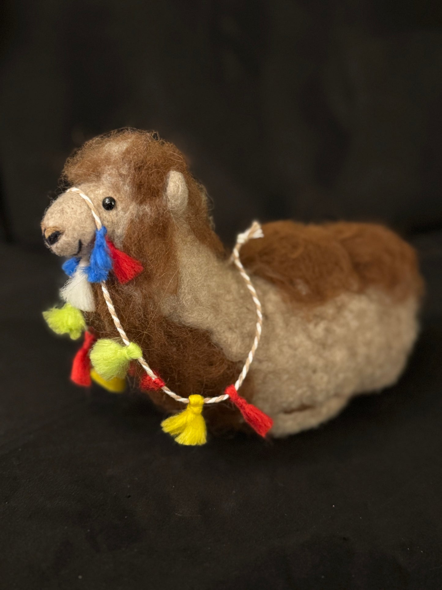 Hank, the Bactrian (Camel)