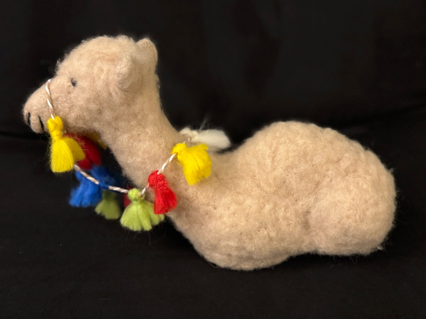 Lucille, the Dromedary (Camel)