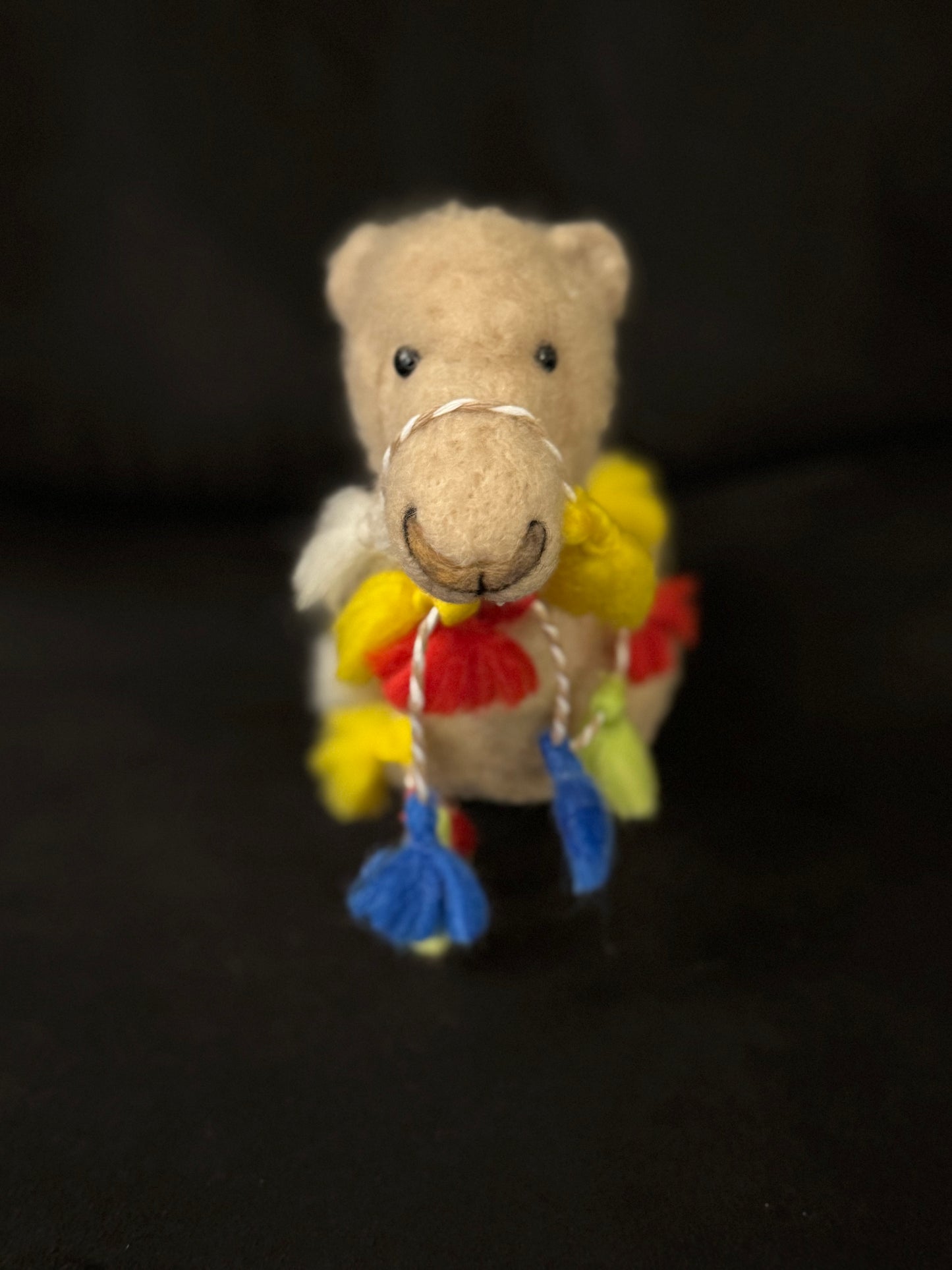 Lucille, the Dromedary (Camel)