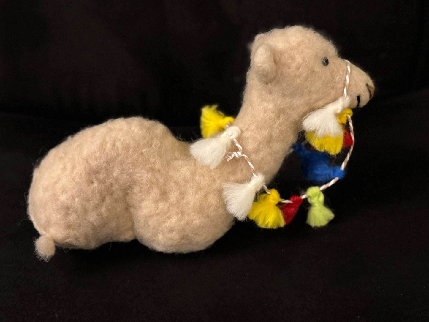 Lucille, the Dromedary (Camel)