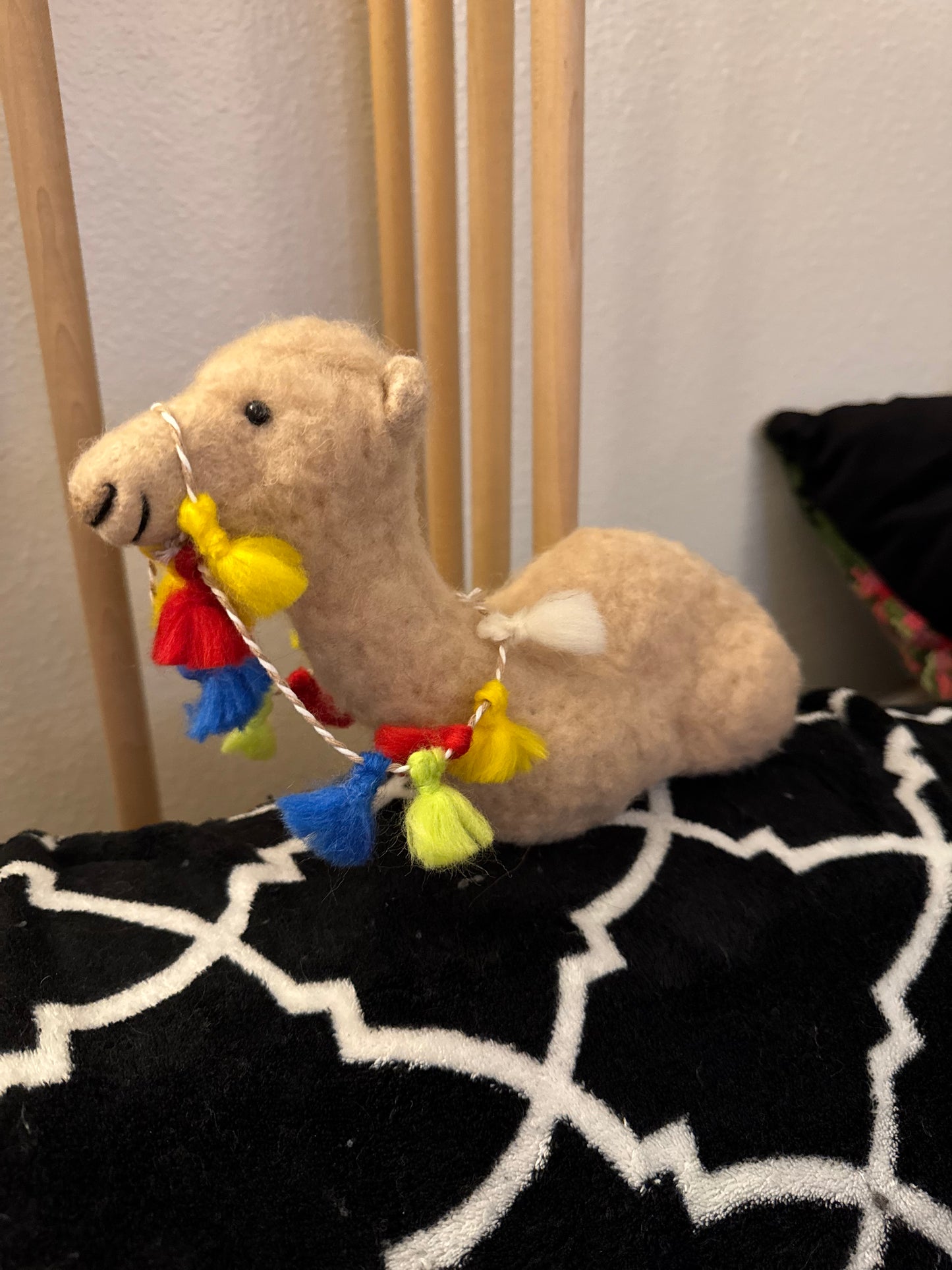 Lucille, the Dromedary (Camel)