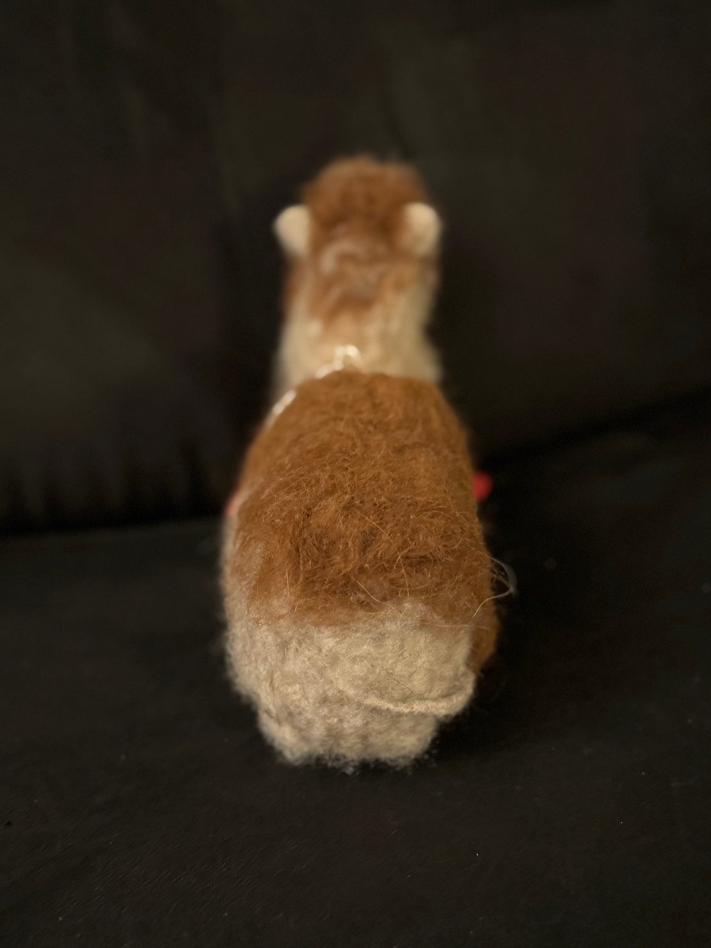 Hank, the Bactrian (Camel)