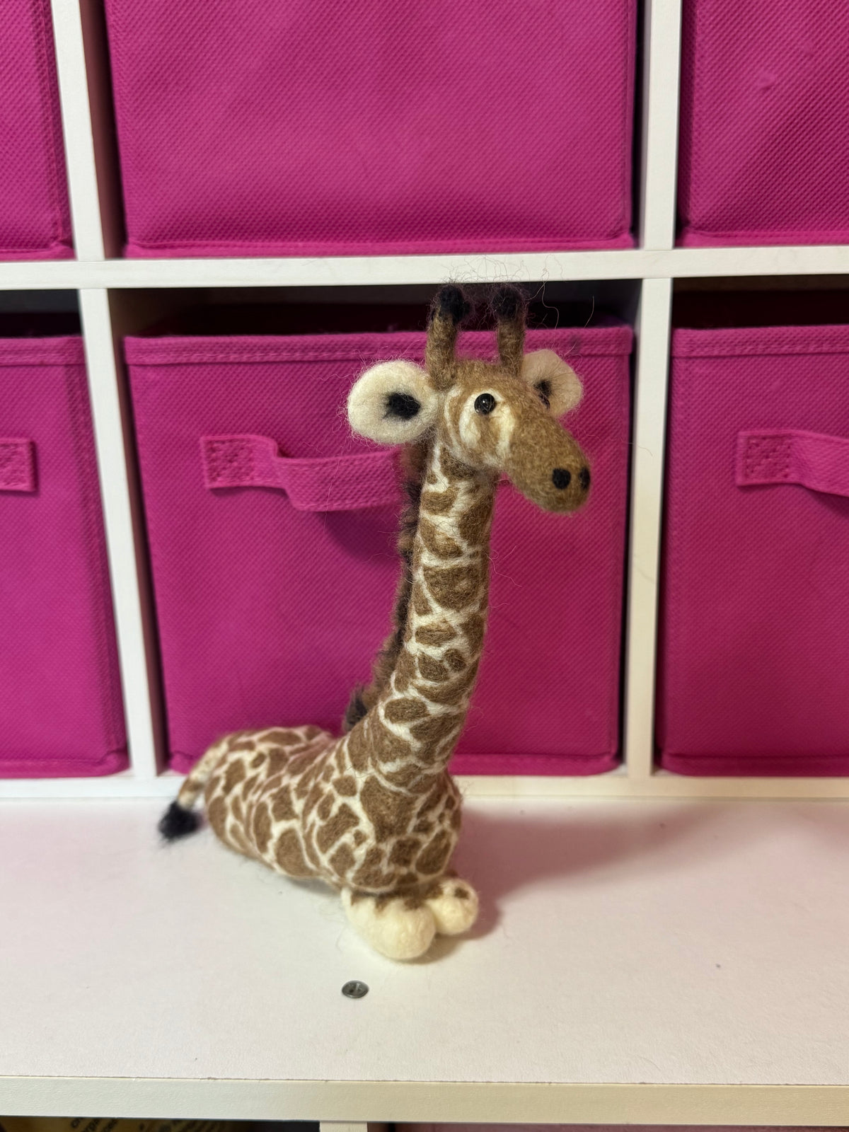 Fred the Giraffe